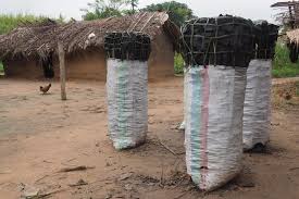 Butembo : les agents du service de l’environnement se font payer des taxes en nature (sacs de braises) et se les partage