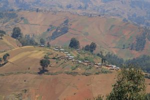 un paysage agricole dans les hautes terre de Luutu, en territoire de Beni, à une trentaine de Km de Butembo ©Hervé Mukulu)