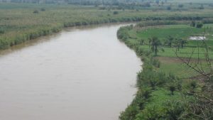 Champs de légumes (choux) au bord de la rivière Rusizi, dans le Parc National de la Rusizi, à l’Ouest du Burundi/Photo prise le 30 Août 2023 par Arthur Bizimana